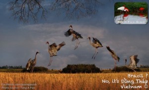 12670323_10153582896879125_5480458369605080570_n