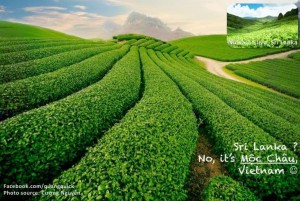 12717760_10153601573984125_2868755603947138325_n