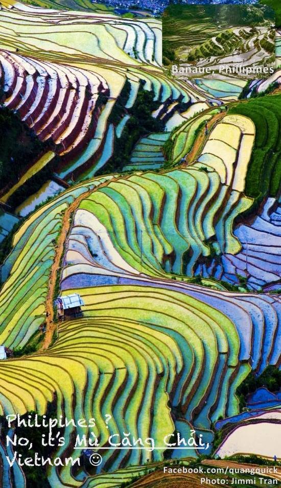 12728841_10153601573449125_1859029281288793073_n